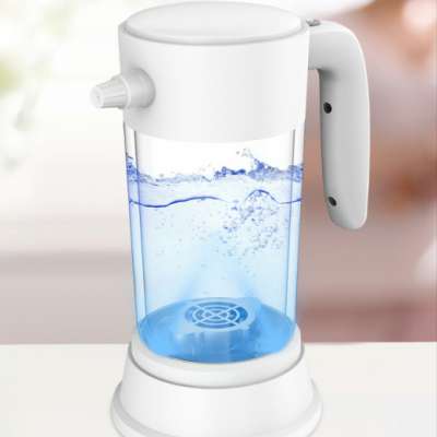 Portable household Sterilizing Manufacturing Machine Sterilized Liquid Bacterial Killer Sanitizer Generator